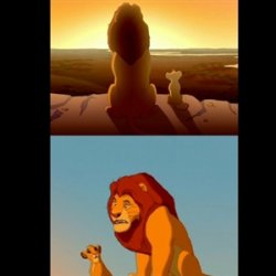 Newcastle lion king Meme Template