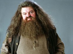 Hagrid Meme Template