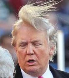 Trump Hair Meme Template