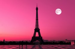 Paris in Pink Meme Template