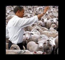Obama sheeple Meme Template