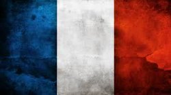 French Flag Meme Template