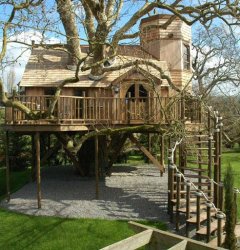 Treehouse mansion  Meme Template