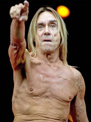 iggy pop Meme Template