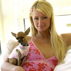 Paris Hilton Meme Template