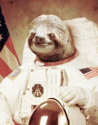 Astronaut Sloth Meme Template