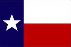 Texas flag refugees welcome Meme Template