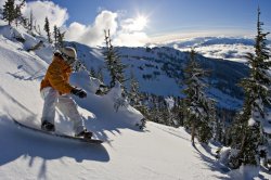 Colorado freeride Meme Template