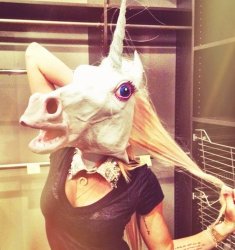 licorne Meme Template