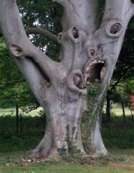 Scary Tree Meme Template