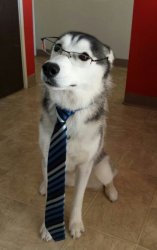 estudiante Meme Template