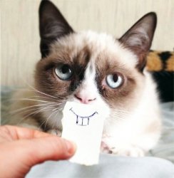 Grumpy cat smile Meme Template
