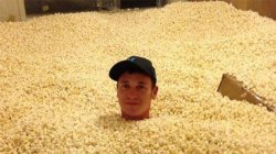 seaofpopcorn Meme Template