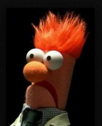 beaker Meme Template