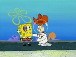 Sandy Cheeks - I Got Some Remedies Meme Template