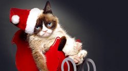 Christmas Grumpy Cat Meme Template
