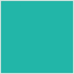 TEAL BACKGROUND Meme Template