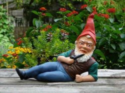 Gnomes Meme Template
