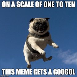 Googol approves Meme Template