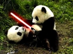 Fight me Panda Meme Template