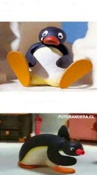 pinguino Meme Template