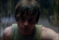 Luke Skywalker Dagobah Meme Template