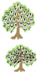 Family tree Meme Template