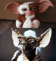 When You Think You're Getting Gizmo But There Stripe In Disguise Meme Template
