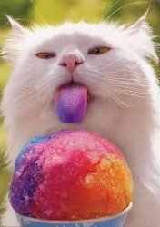 snowcone cat Meme Template