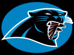 Carolina Panthers Falcons Meme Template