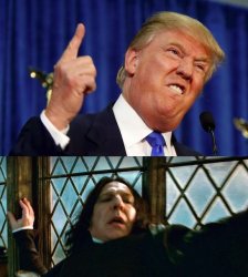 Donald Snape Meme Template