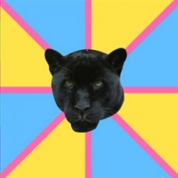 Pansexual Panter Meme Template