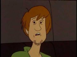 Shaggy Meme Template