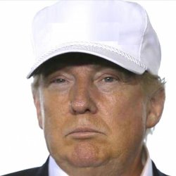 Trump White Hat Meme Template