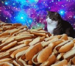 space cats and hot dogs Meme Template