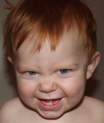 Ginger Meme Template