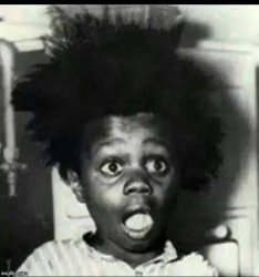 Buckwheat  Meme Template
