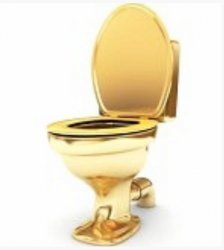 Golden Toilet Meme Template
