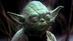 disappointed yoda Meme Template