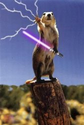 Squirrel With The Force Meme Template