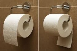 toilet paper rolls Meme Template