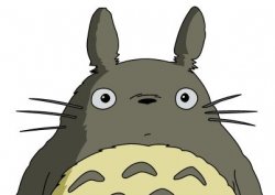 Totoro Meme Template