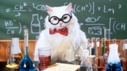 Science Cat (wider version) Meme Template