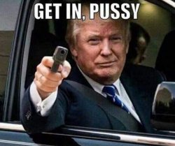 Donald Trump Get in pussy Meme Template
