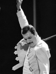 Freddie Mercury  Meme Template