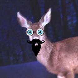 deer in the headlights Meme Template