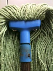 Angry Mop Meme Template