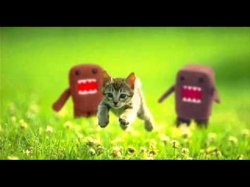 domokun chasing kitty Meme Template