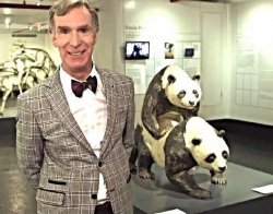 bill nye pandas Meme Template