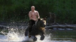 Putin Riding a bear Meme Template